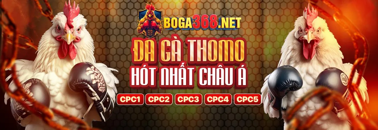 Đấu trường đá gà trực tuyến VB66 link mới 2026